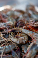 camarones crudos   y partidos por la mitad  para cocinar 