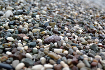 colorful pebbles to create a background and texture