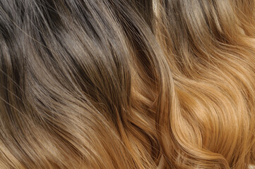 close up of wavy brown blended to blonde two tone ombre style synthetic hair extensions  © Sixsmith