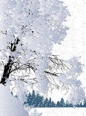 grey large trees under snowfall