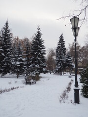 winter