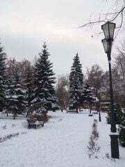 Obraz premium winter