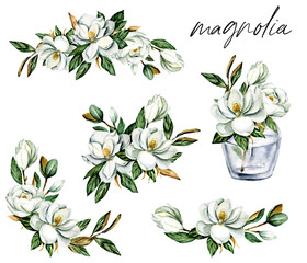 Set watercolor flowers magnolia hand drawn, floral vintage illustrations. Decoration for poster, greeting card, birthday, wedding design. Isolated on white background. - obrazy, fototapety, plakaty