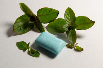  Composition of chewing gum and mint