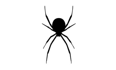 Spinne Silhouette