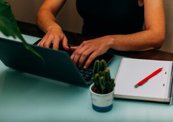 Female hands working in the computer with a red pen, a notebook and a cactus.Selective focus.