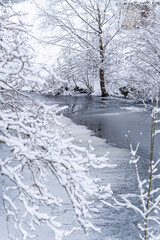 Winter landscape forest and frozen river. tree branch under snow in winter snowing day