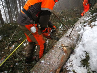 Forstarbeit, Unfall, Forstunfall