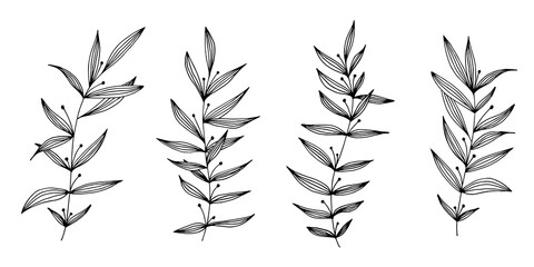 Vector hand drawn set of various silhouette branches with leaves on the white background. Elements design for fabric, wrapping paper and web.