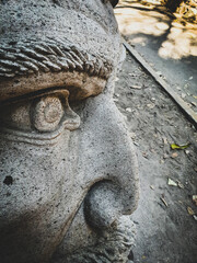 miradas de un rostro 