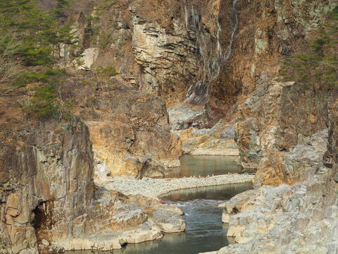 Nobota Photos Images Assets Adobe Stock