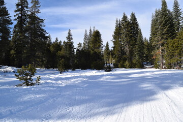 ski resort in winter