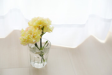 黄色いカーネーション