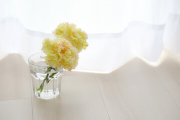 黄色いカーネーション