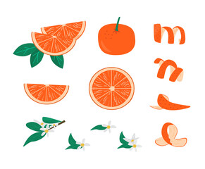 Zest, leaves and brunch with flower of orange fruit set vector illustration. Collection of tangerine whole, slice and halves isolated. Citrus fruit slices. Delicious peel for cocktails. Juicy citron.