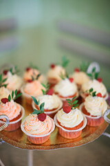 Candy bar. Sweets. Cupcakes with berries. Lollipop.