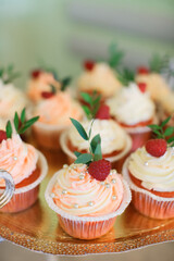 Candy bar. Sweets. Cupcakes with berries. Lollipop.