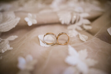 gold rings on the bride's a wedding dress