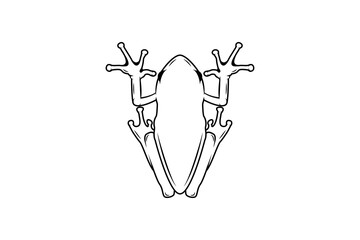 the illustration of frog use outline style. black and white colors.