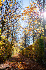 Girl with autumn colors at the San Ildefonso Farm.