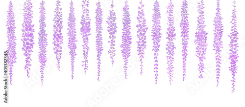 藤の花のアナログ風イラスト 神秘的な紫 Wall Mural 桜 マチ