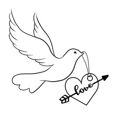 Elegant hand drawn line dove. Vector illustration.