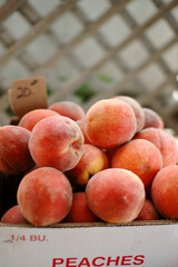 ピーチのイメージ写真