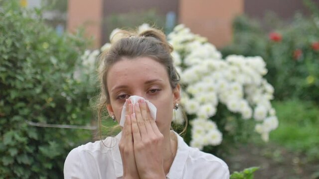 Girl sneezes into a napkin, because she is allergic to flowering during spring time on white chrysanthemums on background, hypersensitivity concept