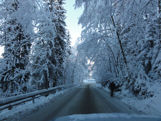 An snowy road on a cold winter morning.