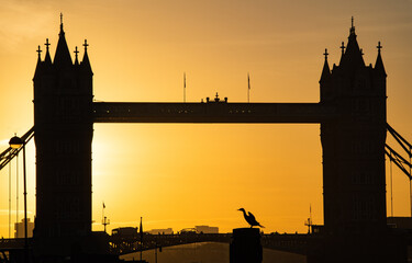 Sunrise over Tower Bridge, London
