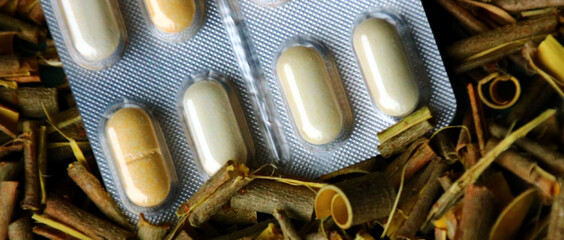 weidenrinde getrocknet