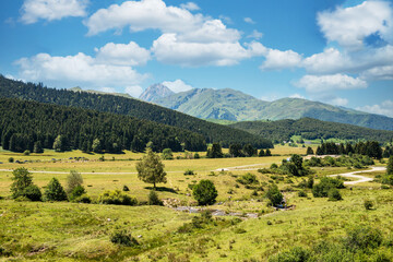 Fototapeta na wymiar View of the countryside with the Pyrenees mountains