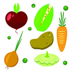 Set of seven .Squash,onions,beets,carrots,peas,potatoes and corn on a white background.