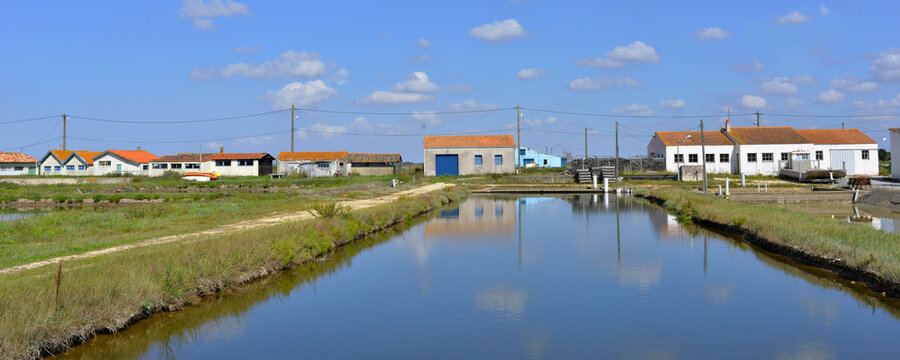 Panoramique bassin horticole face aux remparts de Brouage (17320 Marennes-Hiers-Brouage), Charente-Maritime en Nouvelle-Aquitaine, France