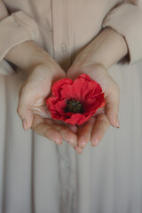 Red poppy flower made of chocolate on the hands of a pastry chef