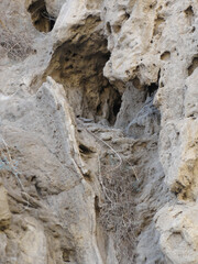 The rocks in the nature reserve Ein Gedi.