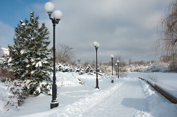 Park alleys covered with snow