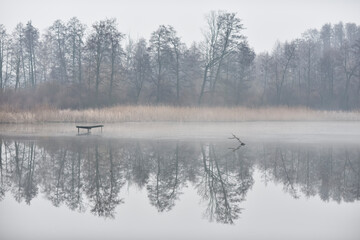 Autumn landscape. Foggy day over the waterline.