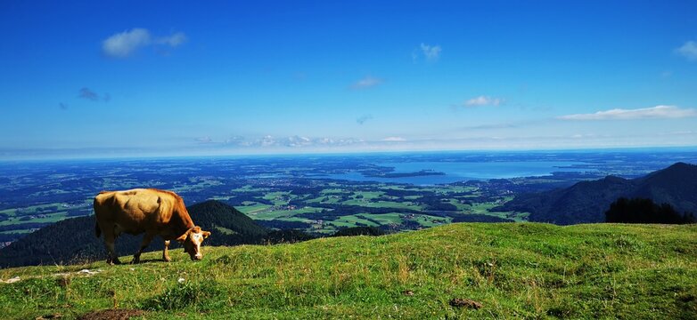 Laubenstein am Chiemsee