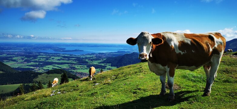 Laubenstein am Chiemsee