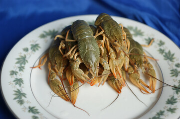live crayfish. green crayfish on a plate