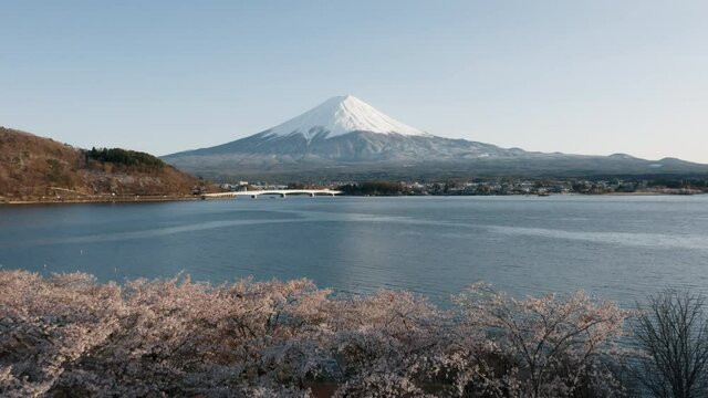 Mt Fuji and Cherry Blossoms in spring at Lake Kawaguchiko