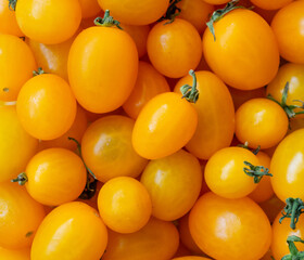 Yellow ripe organic tomato background