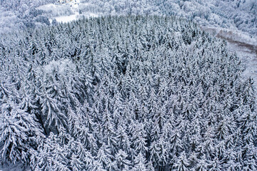 Aerial view, with snow-covered conifers, firs and spruces, in the Taunus, Oberreifenberg, Taunus, Schmitten, Hesse, Germany