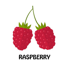 Vector Illustration Flat Raspberry isolated on white background , minimal style , Raw materials fresh fruit