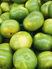 pomelo harvest. green grapefruits set