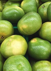 pomelo harvest. green grapefruits set