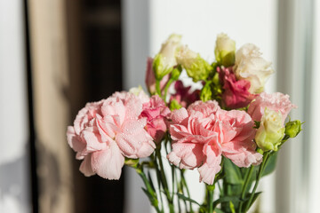 sweet pink carnation flowers in vase on a white background with text space.Beautiful fresh blooming tender carnations. mothers day, thanks design concept.