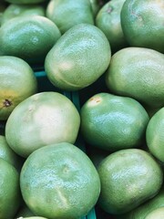 pomelo harvest. green grapefruits set