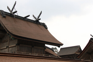 Fototapeta na wymiar shinto shrine (izumo-taisha) in izumo (japan)